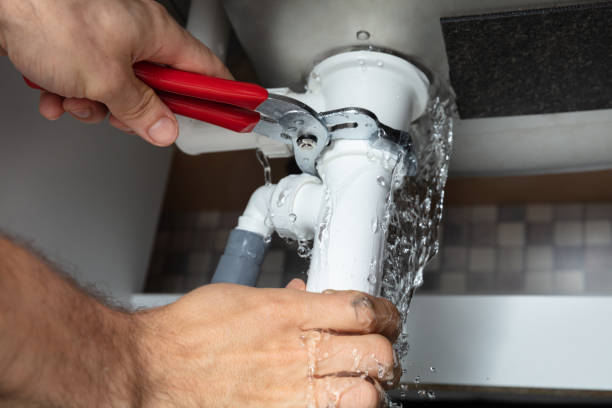 Best Water damage restoration process  in La Mesa, CA