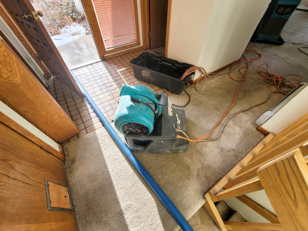 Best Water damage restoration near me  in La Mesa, CA