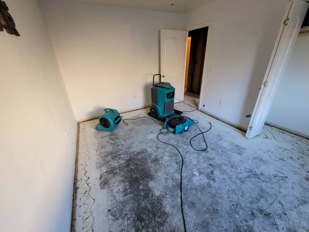 Best Professional water damage repair  in La Mesa, CA