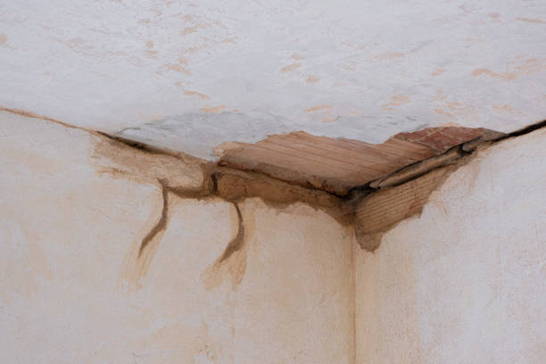 Best Water damage restoration near me  in La Mesa, CA