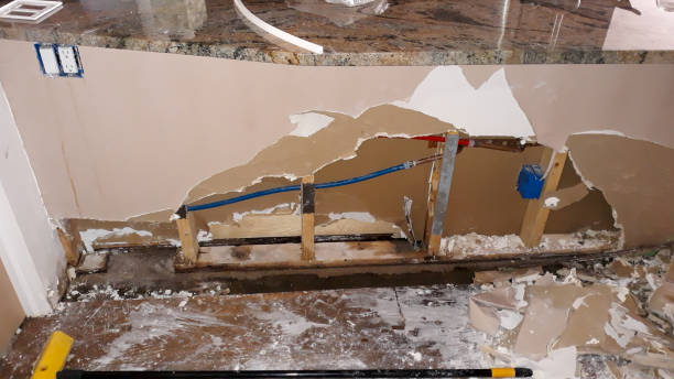 Best Mold removal after water damage  in La Mesa, CA