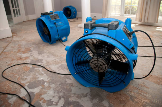 Best Water damage restoration near me  in La Mesa, CA