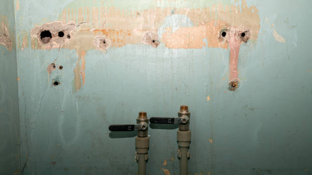  La Mesa, CA Water damage restoration Pros