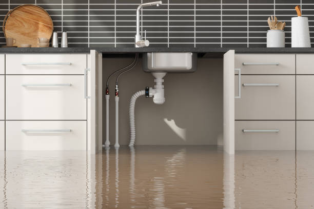 Best Water damage restoration experts  in La Mesa, CA