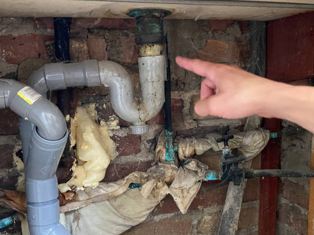 Best 24/7 water damage repair  in La Mesa, CA