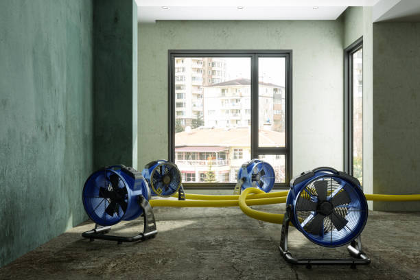Professional Water damage restoration in La Mesa, CA